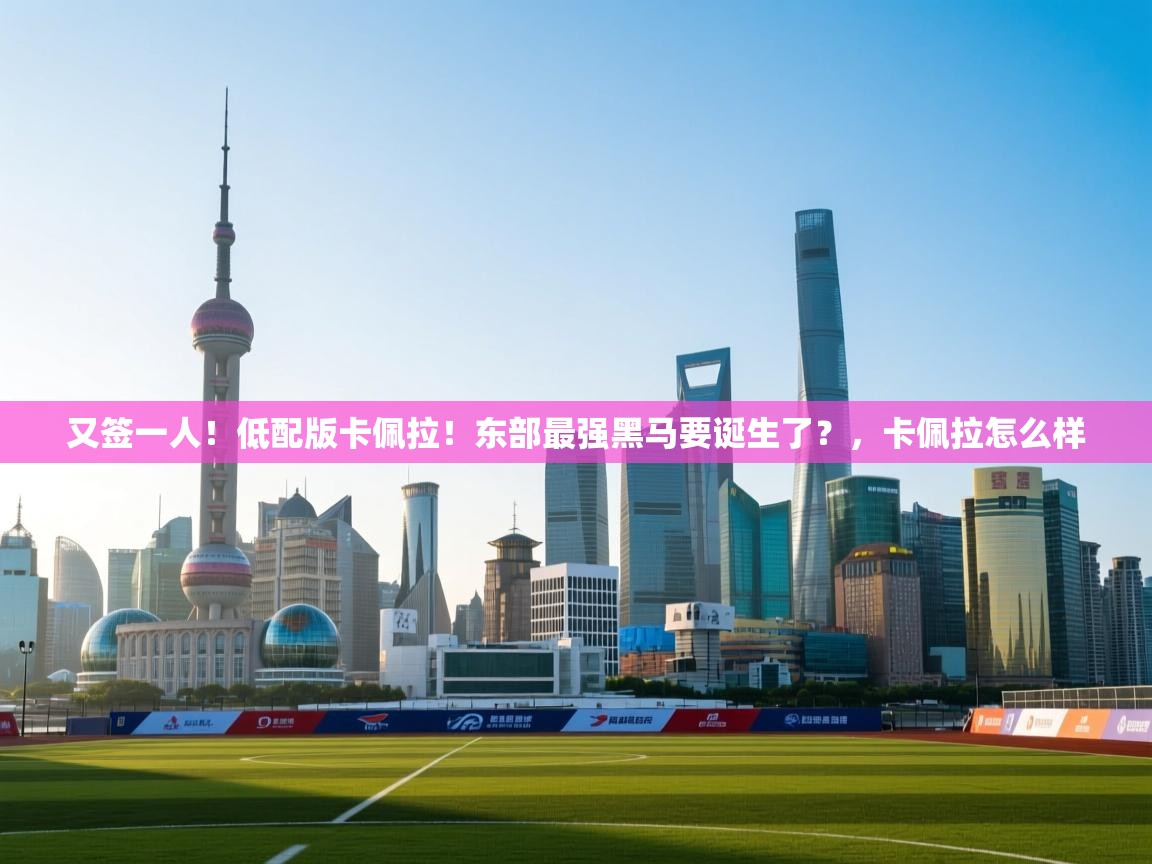 开云体育修改登录密码-又签一人!低配版卡佩拉!东部最强黑马要诞生了?,卡佩拉怎么样 第3张