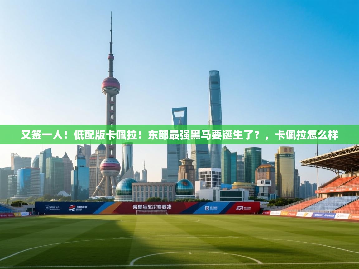 开云体育修改登录密码-又签一人!低配版卡佩拉!东部最强黑马要诞生了?,卡佩拉怎么样 第4张