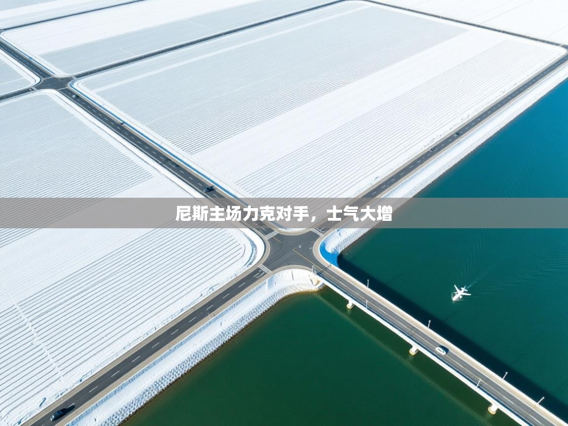 开云体育网络异常修复-尼斯主场力克对手，士气大增  第1张