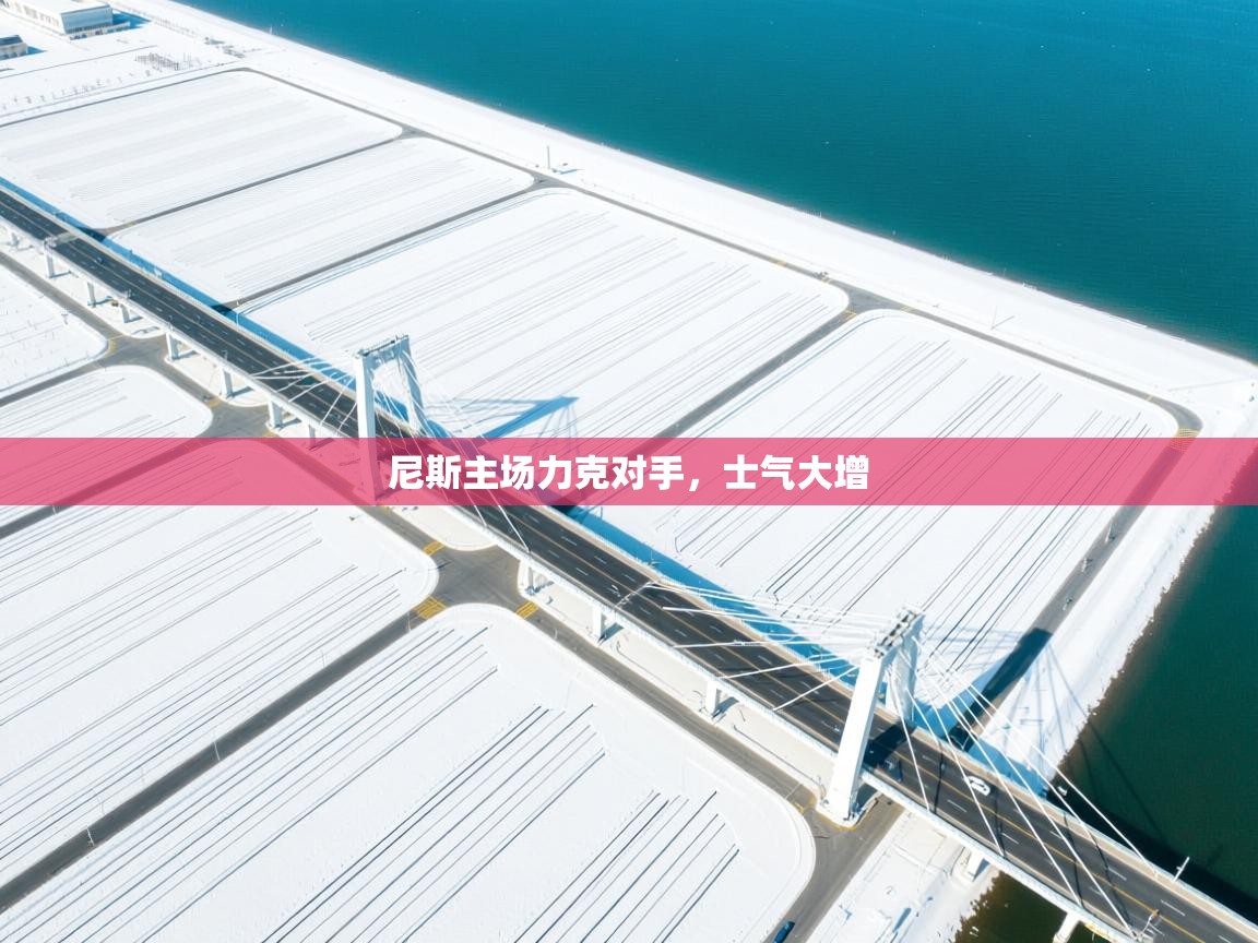 开云体育网络异常修复-尼斯主场力克对手，士气大增  第3张