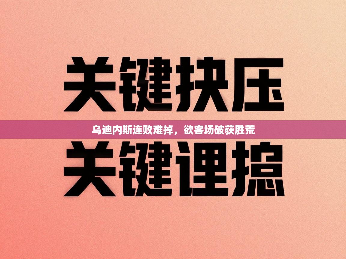 开云体育直播-乌迪内斯连败难掉，欲客场破获胜荒  第1张