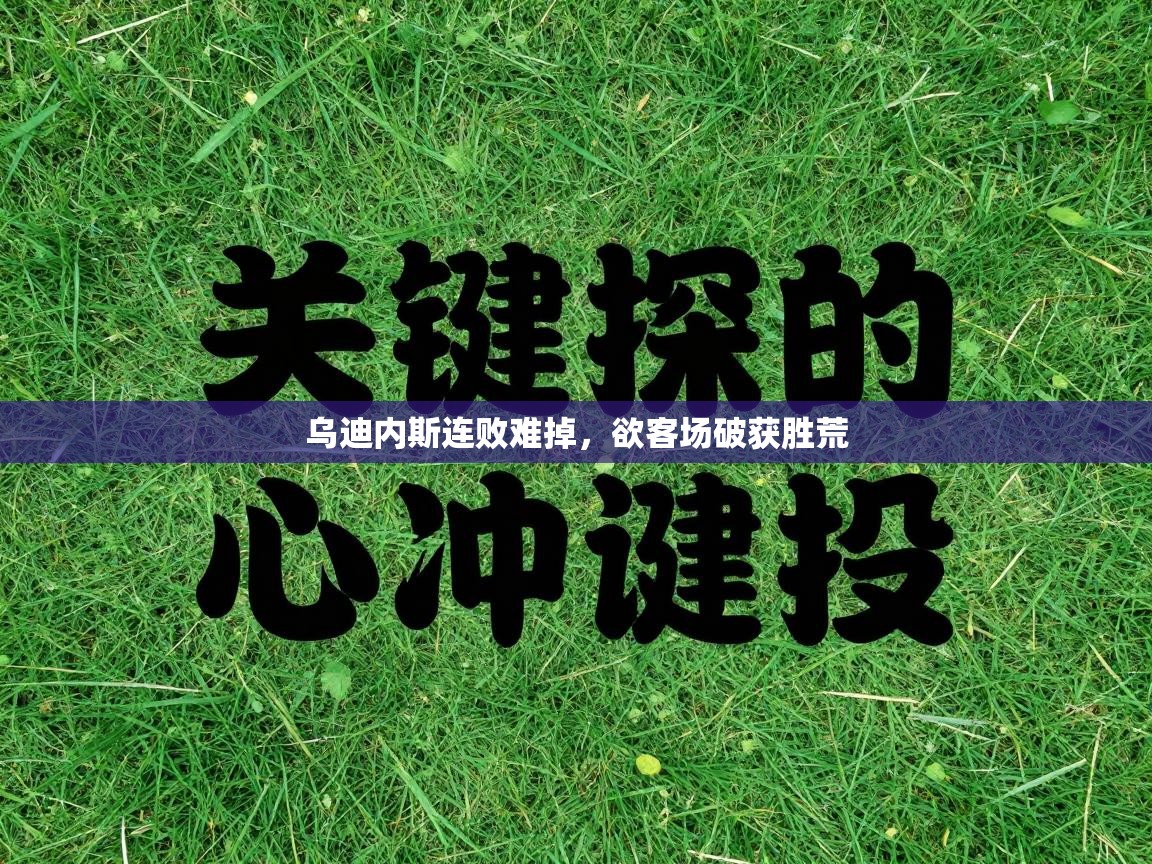 开云体育直播-乌迪内斯连败难掉，欲客场破获胜荒  第4张