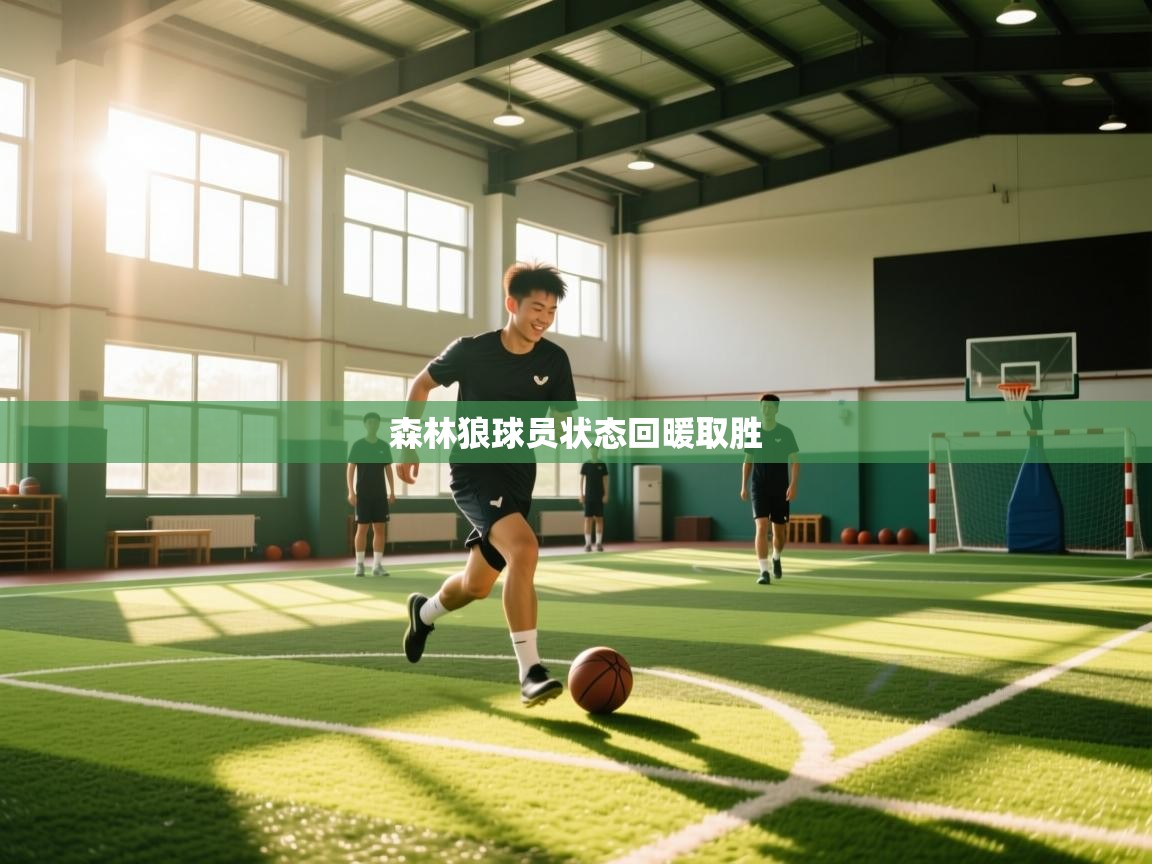 开云体育注册下载-森林狼球员状态回暖取胜