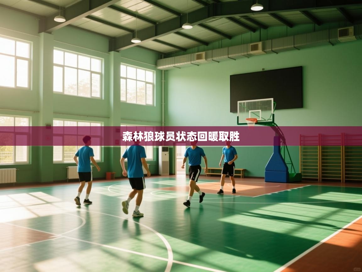 开云体育注册下载-森林狼球员状态回暖取胜  第3张