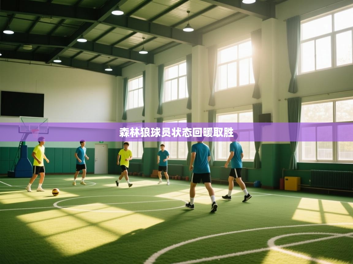 开云体育注册下载-森林狼球员状态回暖取胜  第4张