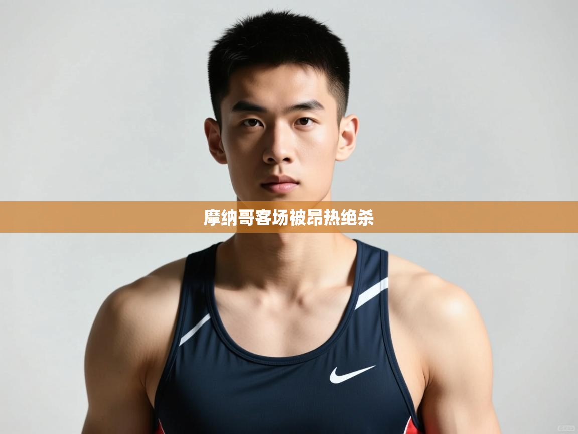 开云体育入口注册-摩纳哥客场被昂热绝杀  第1张