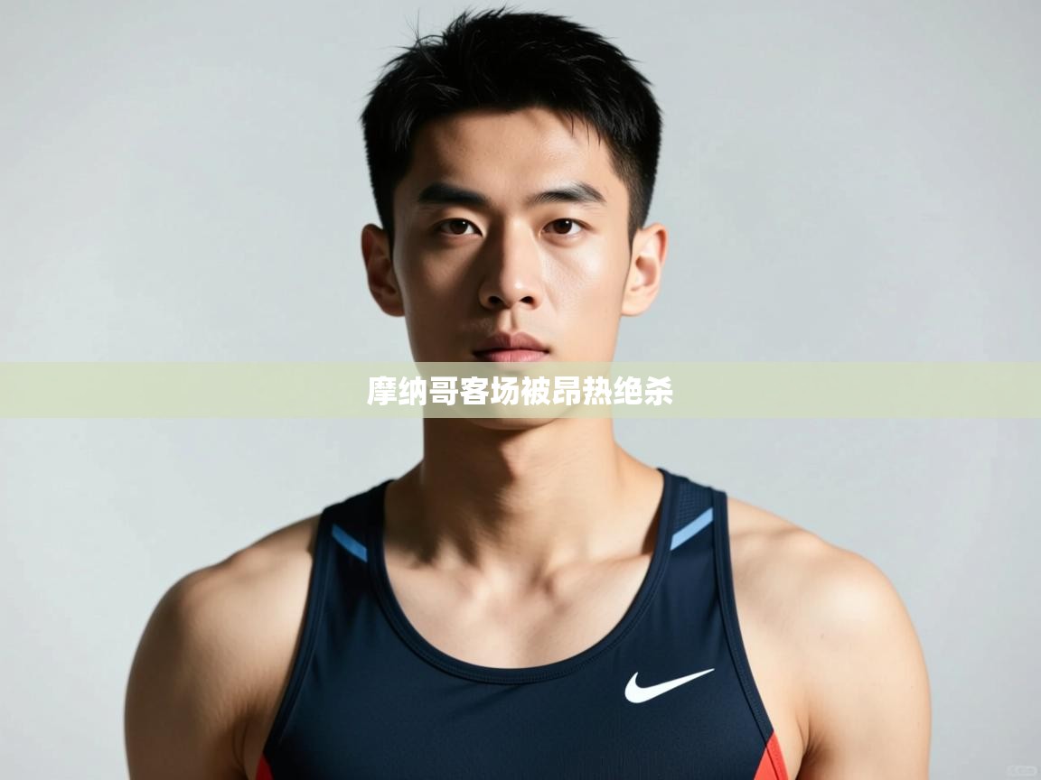 开云体育入口注册-摩纳哥客场被昂热绝杀  第3张