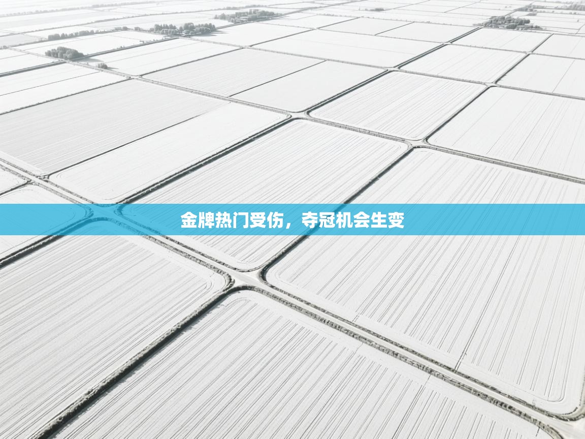 开云体育实名认证入口-金牌热门受伤，夺冠机会生变  第2张