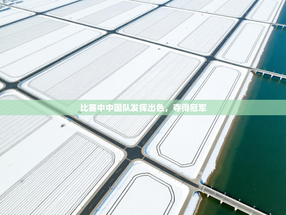 开云体育app投诉-比赛中中国队发挥出色,夺得冠军 第1张