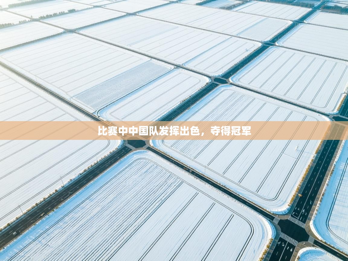 开云体育app投诉-比赛中中国队发挥出色,夺得冠军 第4张